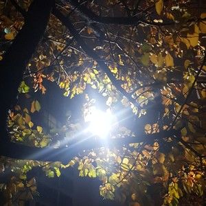 Meet your Posher, Jun